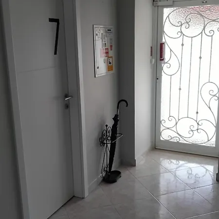 Flamingos Rio * Montijo