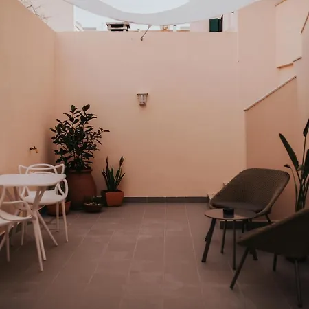 Flamingos Rio * Montijo