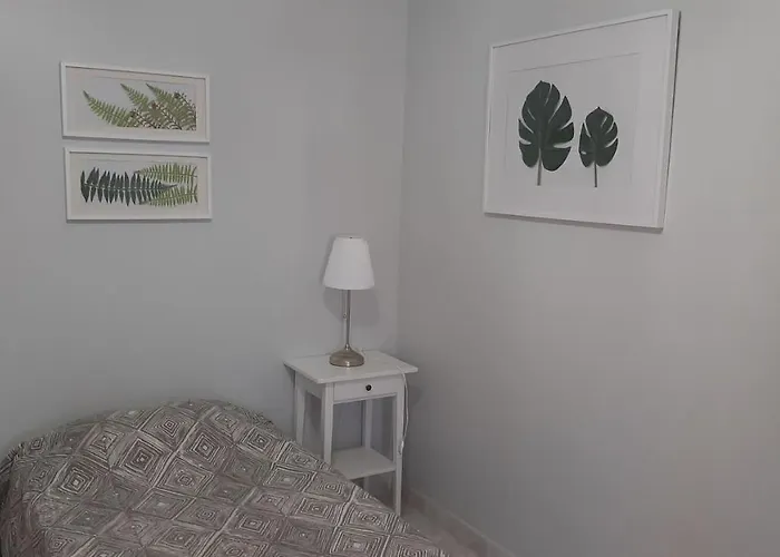 Flamingos Rio Vandrarhem