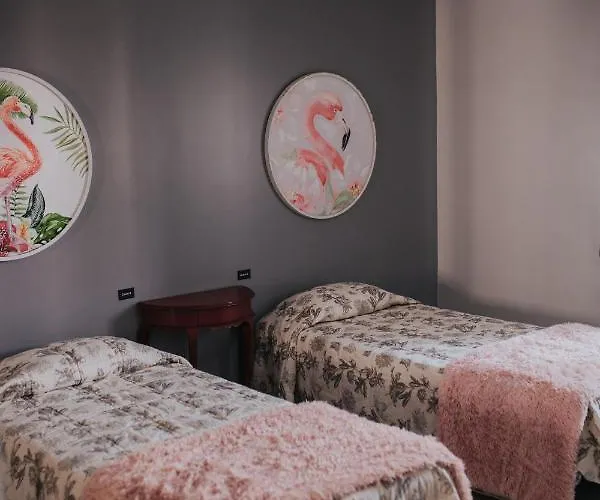 אכסניה Flamingos Rio מונטיז'ו