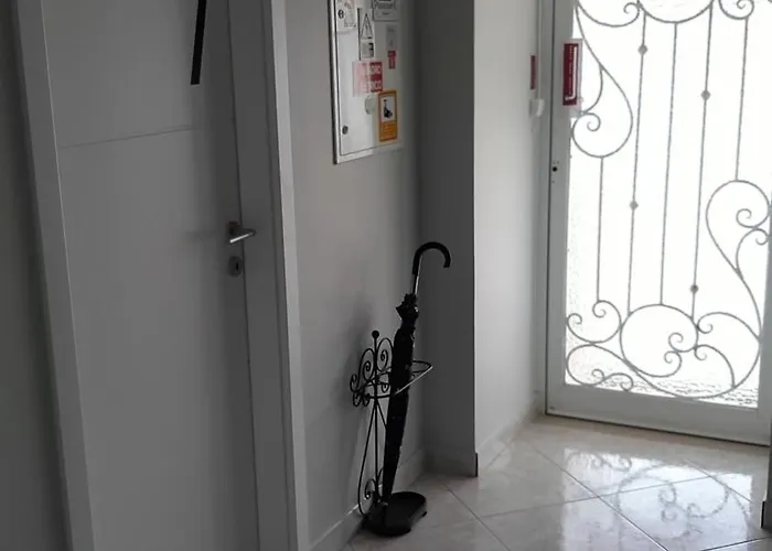 Flamingos Rio * Montijo