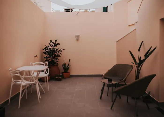 Flamingos Rio * Montijo